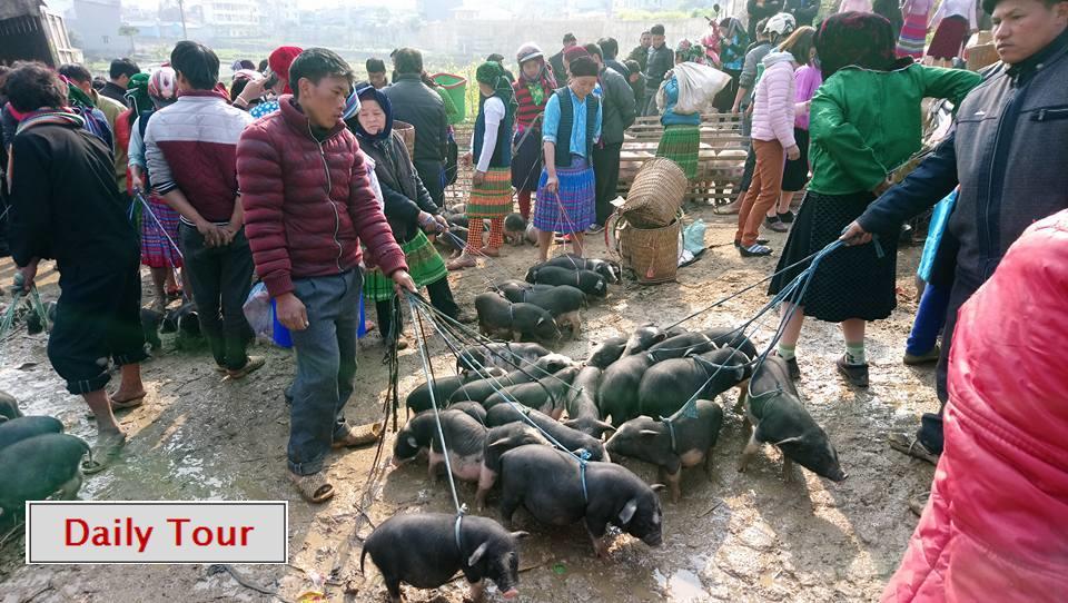 Ha Giang Amazing Hostel Zewnętrze zdjęcie