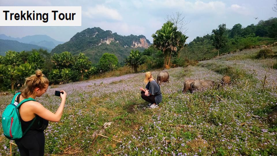 Ha Giang Amazing Hostel Zewnętrze zdjęcie